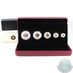 RCM Issue: 2013 Canada Silver Maple Leaf Fractional Set - 25th Anniv. of the Silver Maple Leaf Coin 