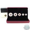 Image 1 : RCM Issue: 2013 Canada Silver Maple Leaf Fractional Set - 25th Anniv. of the Silver Maple Leaf Coin 