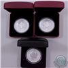 Image 1 : RCM Lot: 2004-2014 Canada $5 Commemorative 1oz Privy Mark Silver Maple Leafs issued by the RCM. You 