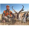 Image 1 : 2017 Colorado Statewide Pronghorn License