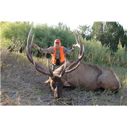 2017 Utah Fillmore, Pahvant Landowner Elk Permit, Hunter’s Choice