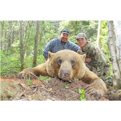 6-Day Fully Guided Spring Black Bear Hunt in Alberta, Canada for One (1) Hunter