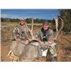 Image 3 : 2017 Utah Paunsaugunt Landowner Deer Permit Hunter’s Choice
