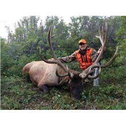 2017 Utah Book Cliffs, Bitter Creek/South Multi Season Conservation Elk Permit