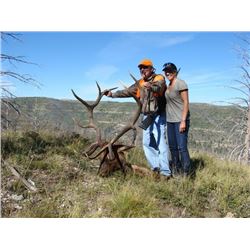 2017 Utah Book Cliffs, Little Creek Roadless Multi Season Conservation Elk Permit