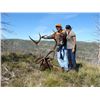 Image 1 : 2017 Utah Book Cliffs, Little Creek Roadless Multi Season Conservation Elk Permit