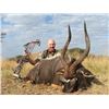 Image 2 : 10-Day 2x1 Plains Game Hunt for 2-4 Hunters in Limpopo (Province of South Africa)