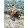 Image 3 : 2017 Utah San Juan Multi Season Bear Conservation Permit