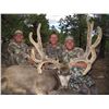 Image 2 : 2017 Utah Paunsaugunt Landowner Deer Permit Hunter’s Choice