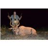 Image 1 : 10-Day Plains Game African Hunt for One (1) Hunter