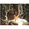 Image 3 : 2017 Utah Plateau, Boulder/Kaiparowits Archery Elk Conservation Permit