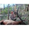 Image 1 : 2017 Utah Mt Dutton Multi Season Elk Conservation Permit