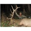 Image 1 : 2017 Utah Plateau, Fishlake/Thousand Lakes Multi Season Premium Elk Conservation Permit