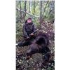 Image 2 : 2 Russian Brown Bear for 2 hunters in the Northern Kirov Area
