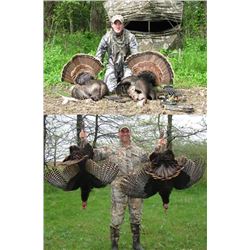 2-Day Fully Guided Eastern Wild Turkey Hunt in Kansas for Two (2) Hunters