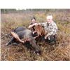 Image 1 : Moose, Black Bear and Wolf Combination Hunt