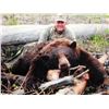 Image 3 : Moose, Black Bear and Wolf Combination Hunt