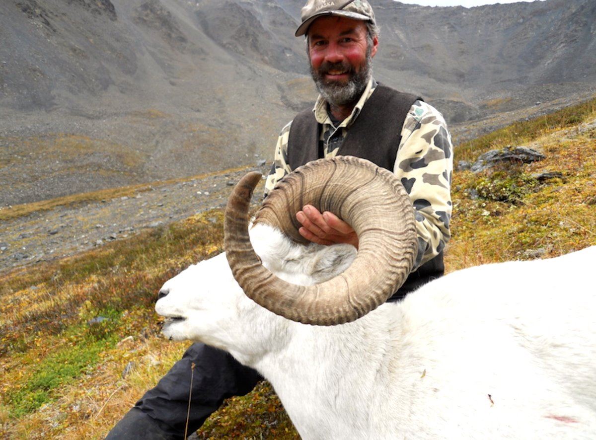 2017 or 2018 Horseback Dall Sheep Hunt in Alaska