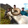 Image 2 : 2017 or 2018 Horseback Dall Sheep Hunt in Alaska