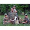 Image 3 : Professionally Guided Trophy Free Range Whitetail Hunt for Two (2) Hunters in Texas