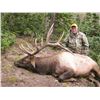 Image 1 : 2017 Utah Panguitch Lake Multi Season Elk Conservation Permit