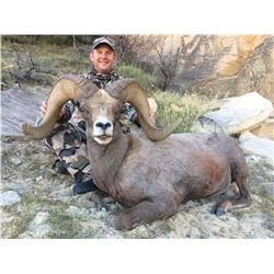 2017 Utah Zion Late Desert Bighorn Sheep Conservation Permit