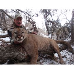 2017 Utah Statewide Cougar Conservation Permit