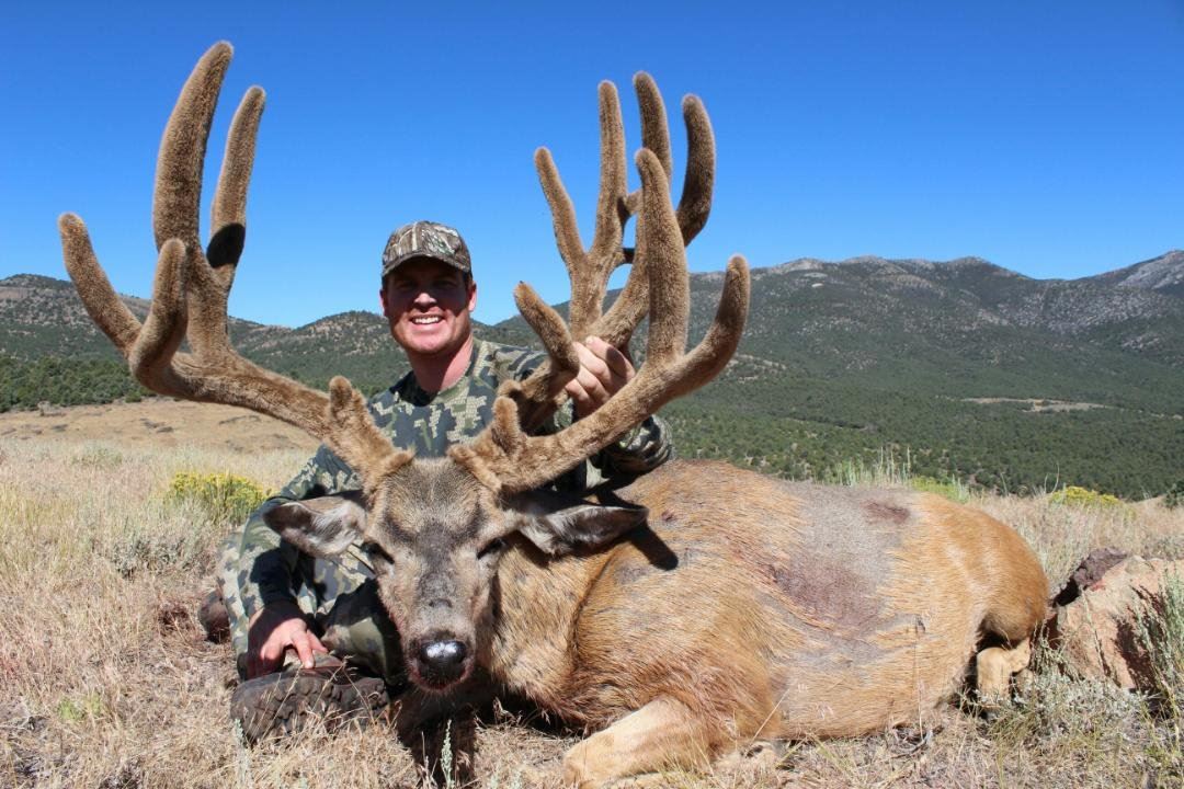 2017 Nevada Heritage Statewide Mule Deer