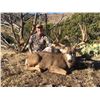 Image 2 : 2017 Nevada Heritage Statewide Mule Deer