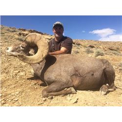 2017 Utah Kaiparowits, East Escalante Desert Bighorn Sheep Conservation Permit