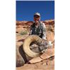 Image 3 : 2017 Utah Kaiparowits, East Escalante Desert Bighorn Sheep Conservation Permit