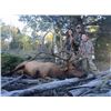 Image 1 : 2017 Utah Plateau, Boulder/Kaiparowits Multi-Season Elk Conservation Permit