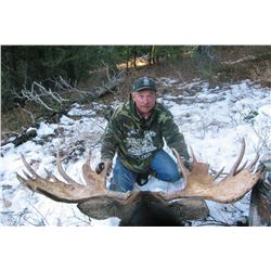 2017 Utah Wasatch Mtns/Central Mtns Moose Conservation Permit