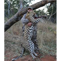 10- Day Leopard Hunt in Zimbabwe for One (1) Hunter