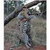 Image 1 : 10- Day Leopard Hunt in Zimbabwe for One (1) Hunter