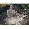 Image 3 : 7-Day Fully Outfitted Arizona Mule Deer/ Coues Deer Hunt for One (1) Hunter