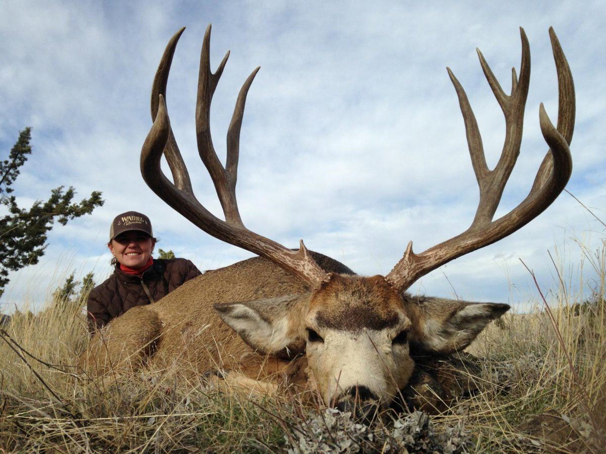 2017 Oregon Statewide Mule Deer
