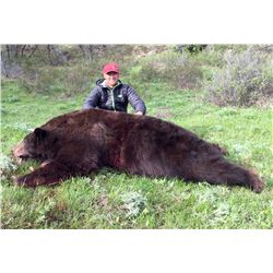2017 Utah Statewide Bear Conservation Permit