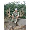 Image 2 : 2017 Utah Henry Mtns Deer Landowner Permit Hunters Choice