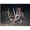 Image 3 : 2017 Utah Henry Mtns Deer (Muzzleloader) Conservation Permit