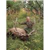 Image 2 : 2017 Utah San Juan Multi-Season Elk Conservation Permit
