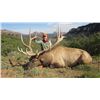 Image 3 : 2017 Utah San Juan Multi-Season Elk Conservation Permit