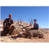 Image 1 : New Mexico Special Big Game Enhancement Package