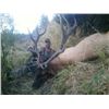 Image 2 : California Multi-Zone Elk Permit