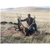 Image 4 : California Multi-Zone Elk Permit