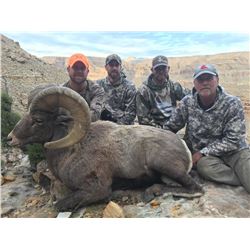 2017 Utah Nine Mile, Gray Canyon & Jack Creek Rocky Mountain Bighorn Sheep Conservation Permit