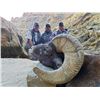 Image 4 : 2017 Utah Nine Mile, Gray Canyon & Jack Creek Rocky Mountain Bighorn Sheep Conservation Permit