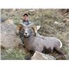 Image 5 : 2017 Utah Nine Mile, Gray Canyon & Jack Creek Rocky Mountain Bighorn Sheep Conservation Permit