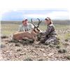 Image 2 : 2017 Utah Statewide Pronghorn Conservation Permit