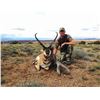 Image 3 : 2017 Utah Statewide Pronghorn Conservation Permit